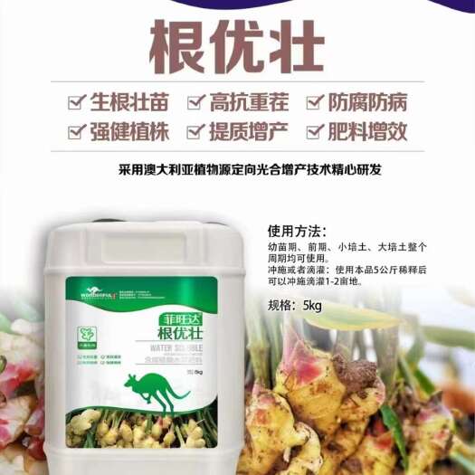 封丘县根优壮-腐植酸类生根肥