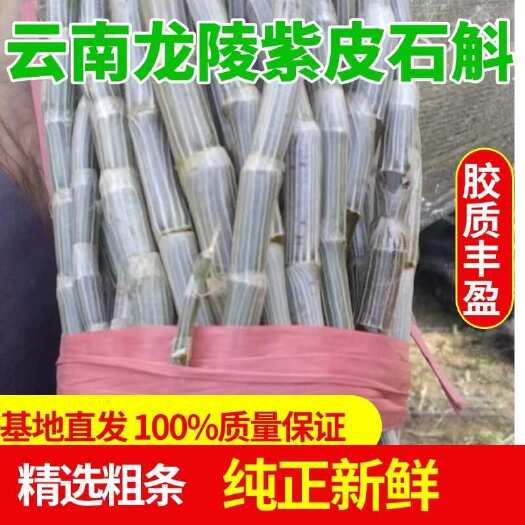 龙陵县云南保山龙陵紫皮石斛 产地直销 精选品质 保山特产