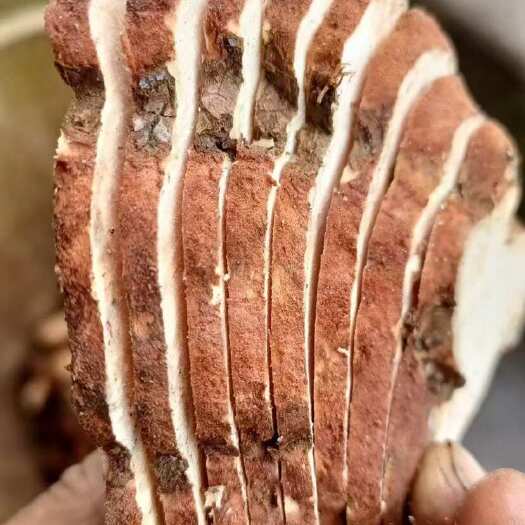 南宁土茯苓干片
