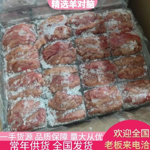 河南郑州惠济区优质新鲜羊脑供应羊肉副产品直销