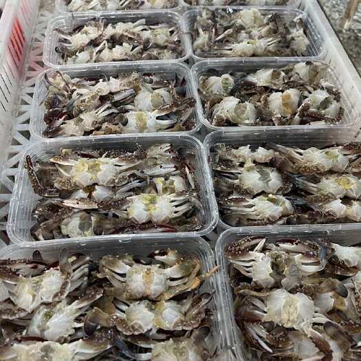 连云港梭子蟹的蟹块【去上盖，去腮】