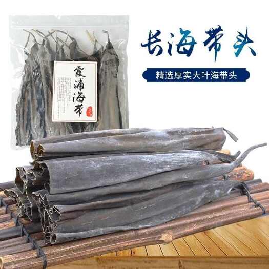 霞浦县特厚海带头2025年长海带干货软糯加厚宽头超厚海带根批发价