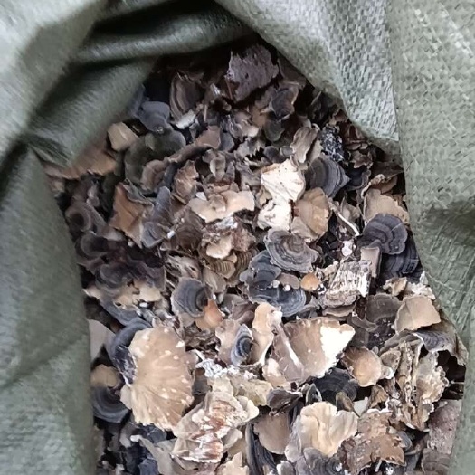 都匀市我爱人吃一段时间，引起我的好奇心