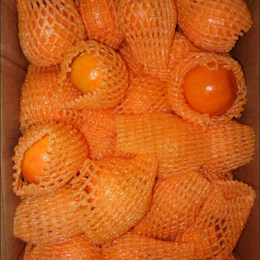 丰县冰糖脐橙