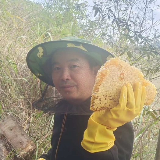 凯里市黔东南野生蜂蜜 新鲜农家自产 自然滋养 品质保障