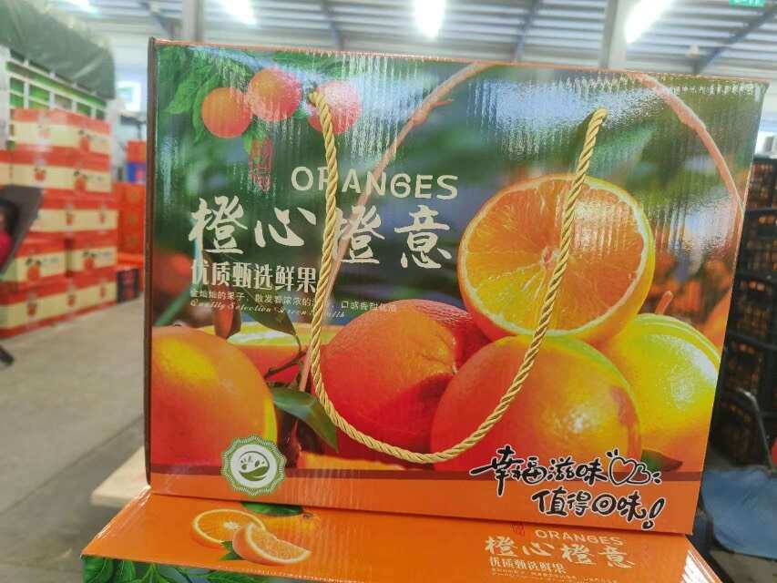 云南高山冰糖橙