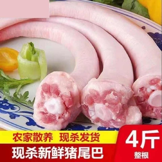 商丘农家散养新鲜现杀土猪猪尾巴长尾巴猪尾巴整根批发