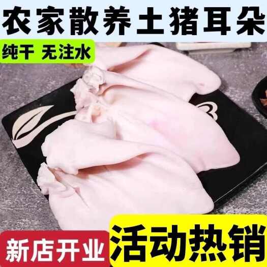 南京新鲜冷冻猪耳朵  猪耳片耳尖生猪耳 带根猪耳朵 卤菜商用食材