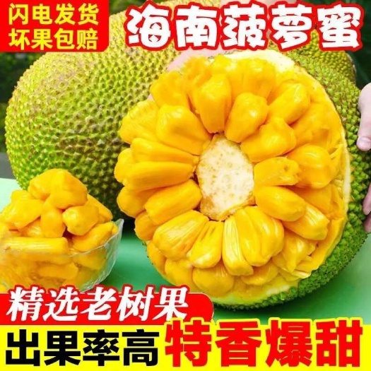 海口海南三亚黄肉菠萝蜜一整个新鲜水果木菠萝整箱批发包邮