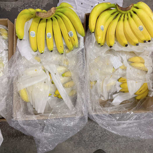 昆山市菲律宾精品二级蕉、净重27斤、保质保量. 可发全国