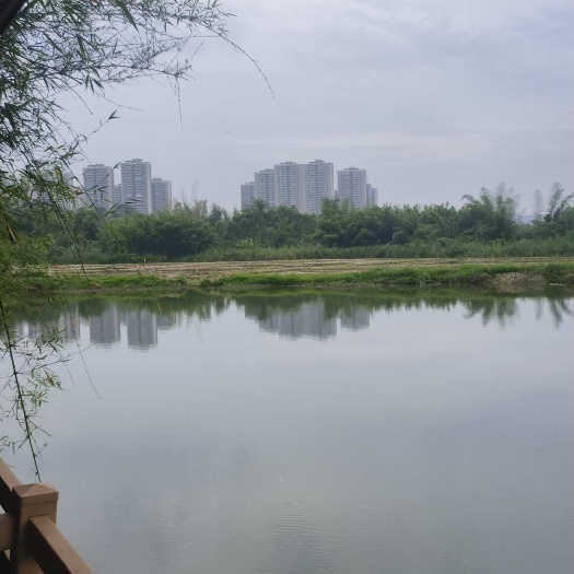 南宁南宁市兴宁区三塘镇那夏绿地城旁边土地出租