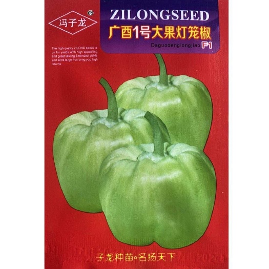 安仁县灯笼椒种子广西1号大果灯笼椒F1辣椒种子大甜椒种子蔬菜种子辣