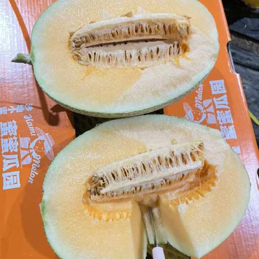 乐东县海南哈密瓜，产地发货，3 斤起步，15+