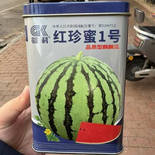 长沙红珍蜜 1 号西瓜种子，70 克，瓜瓤大红，耐重茬