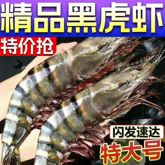 新鲜黑虎虾超大虾鲜活速冻特大草虾竹节虾老虎虾大虾海鲜水产