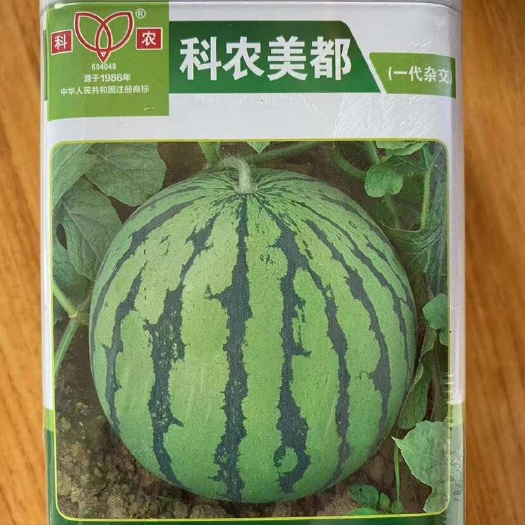 美都西瓜种子西瓜种子新品种科农罐装圆型花皮西瓜种子杂交西瓜种
