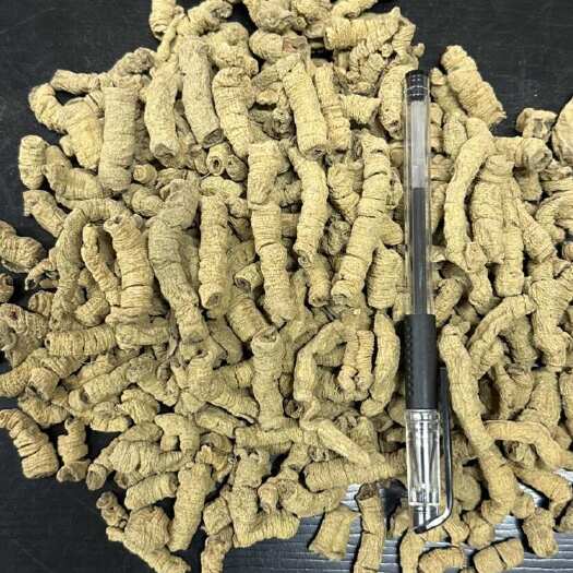 昆明中药材巴戟根茎 优质草本药材巴戟天