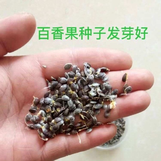 百香果种子四季蔬菜水果种子高产型水果百香果盆栽种植水果种子