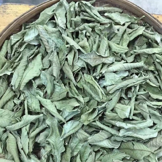 番石榴叶