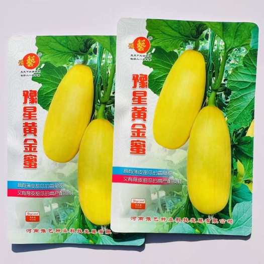 宿迁豫星黄金蜜甜瓜种子 中早熟薄皮黄皮甜瓜种子