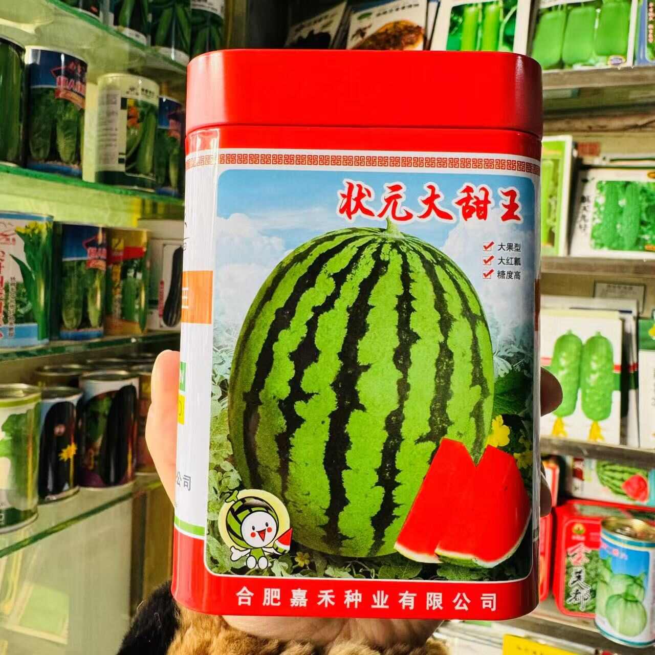 金凯瑞大果甜王西瓜种子中早熟大果西瓜种子