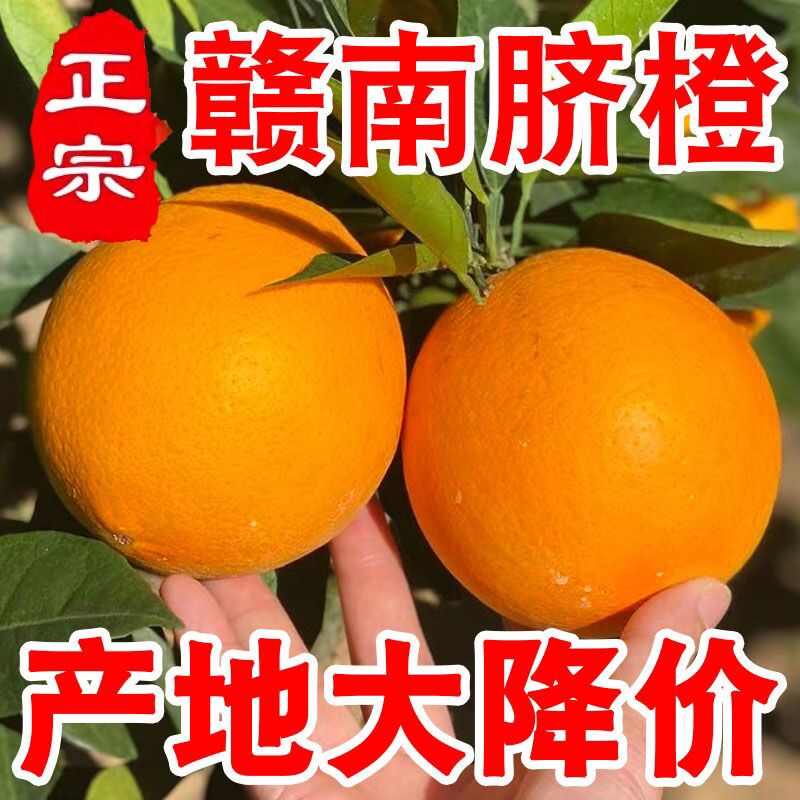 【大减价】江西赣南脐橙新鲜爽甜多汁皮薄肉厚自家果园现摘现发