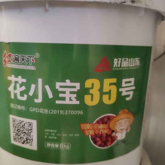 莱阳市花小宝系列  花生种子花小宝35号