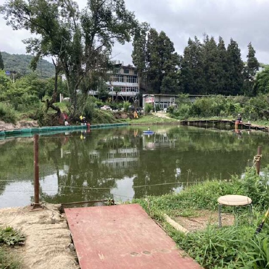 昆明鱼塘山庄出租