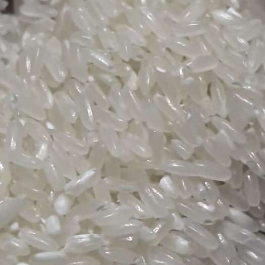 延寿县长粒香抛光大米，量大优惠