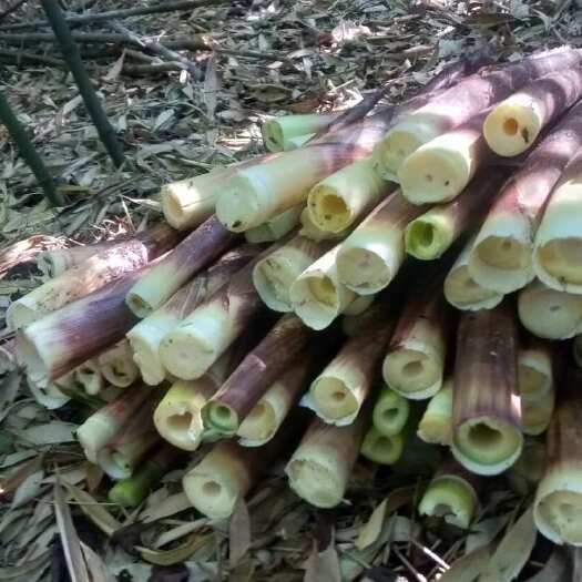桐梓县高山地区特产