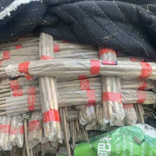 余姚市山药，粉糯香醇