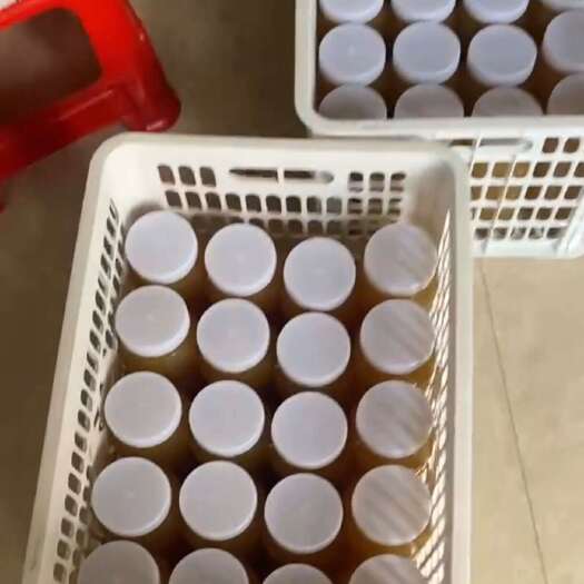 南靖县大山冬蜜，纯正鸭脚木蜜甜蜜登场，批量可议价