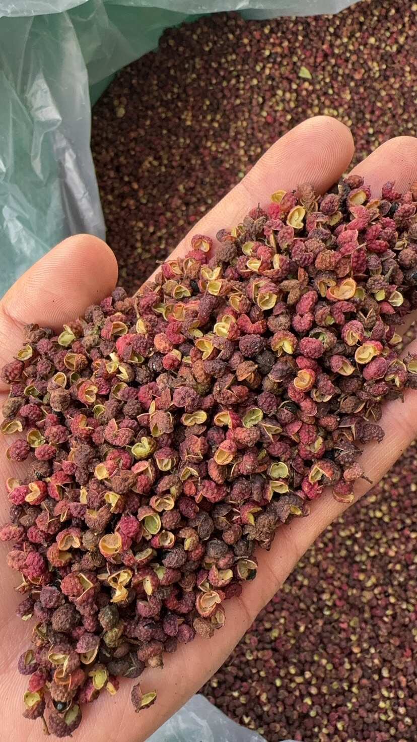 永善县青花椒转红椒云南昭通花红转红椒全红转红椒麻味好50-90开口