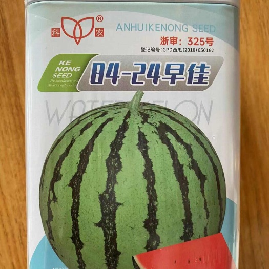 早佳8424西瓜种子麒麟少籽西瓜种子无籽大西瓜甜王南北方四季
