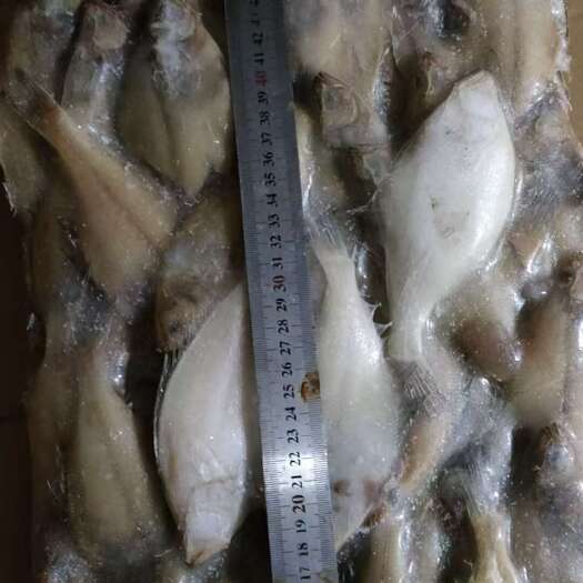 荣成市比目鱼