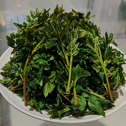 甘肃武都绿色花椒芽菜，每年150吨量，绿色珍菜