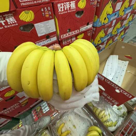 怀远县口感软糯香甜颜色金黄不受寒黄金蕉无花皮无黑心无硬心
