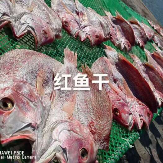 徐闻县大红鱼干，海鲜鱼类，自家渔船捕捞，经过自然晾晒，