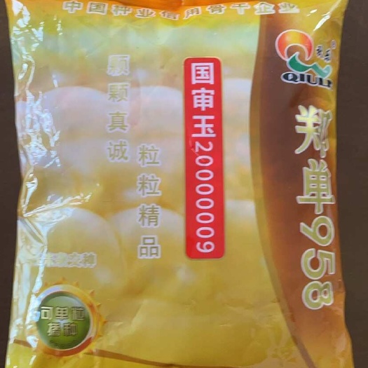 秋乐郑丹958金版4200粒、精选粒包装种植面积广产量稳定