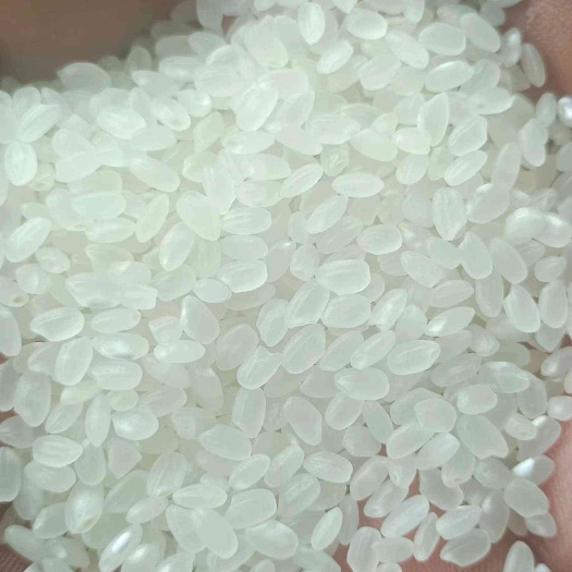 兰西县珍珠米