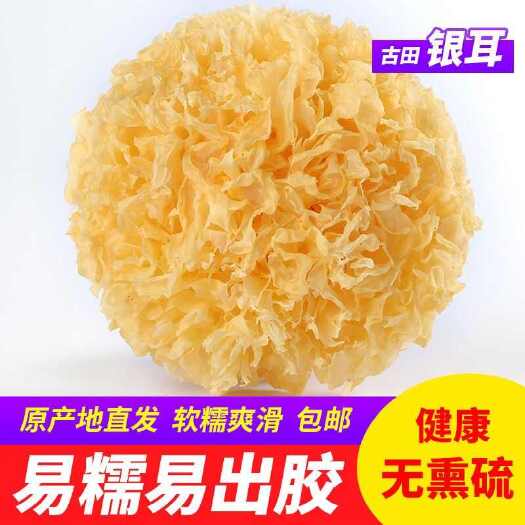 古田县古田银耳白木耳干货批发无硫多胶易糯本草小银耳孕产妇燕耳