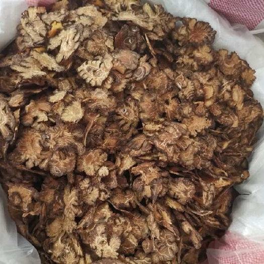 玉林（川芎）新货干货川芎川弓川穹直发无硫