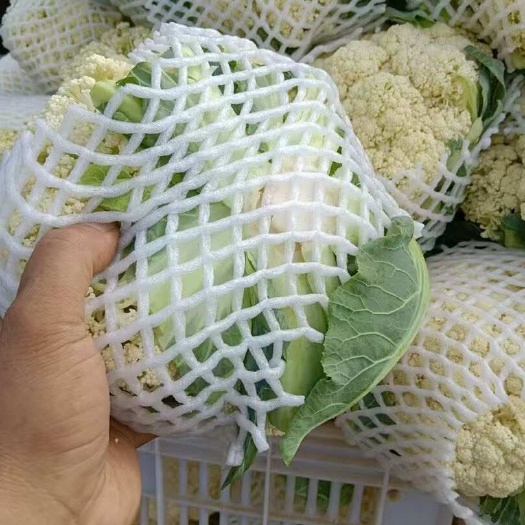 漳浦县散花每日可供应量大 物美价优有需求的老板可以联系起来