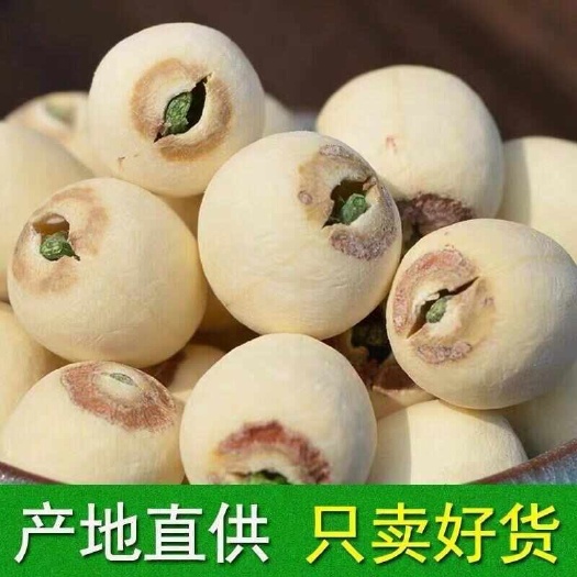 带芯白莲子干货莲子天然莲子有芯新鲜莲子莲子结婚用磨皮带芯