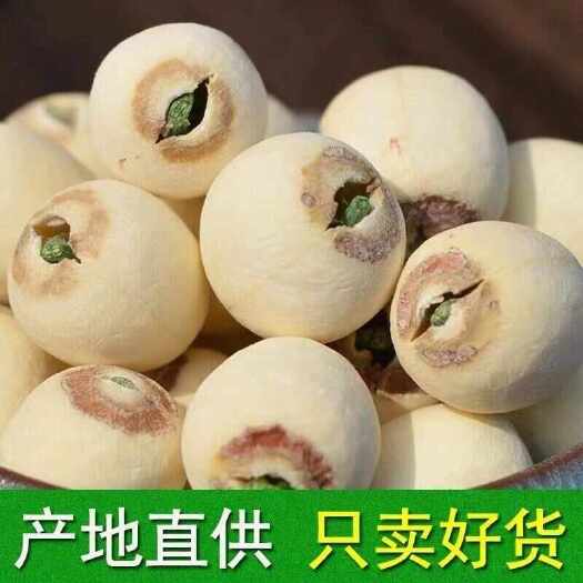 长沙带芯白莲子干货莲子天然莲子有芯新鲜莲子莲子结婚用磨皮带芯