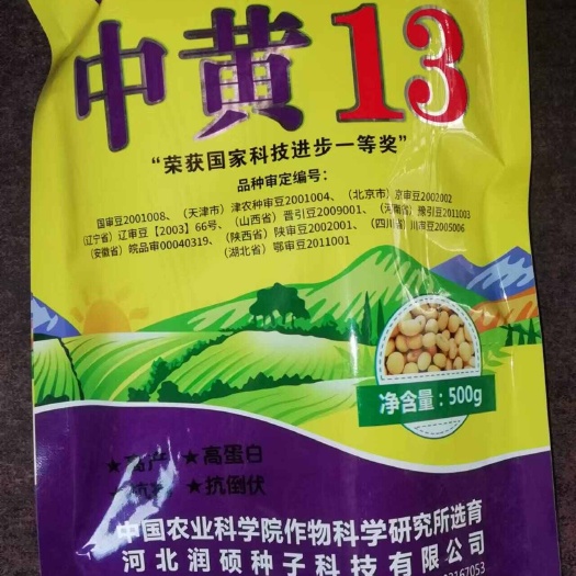 大城县中黄13（500克小包装）