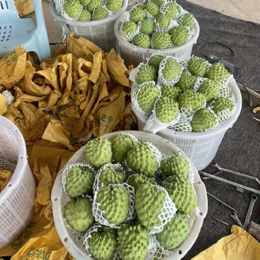 凤梨释迦果