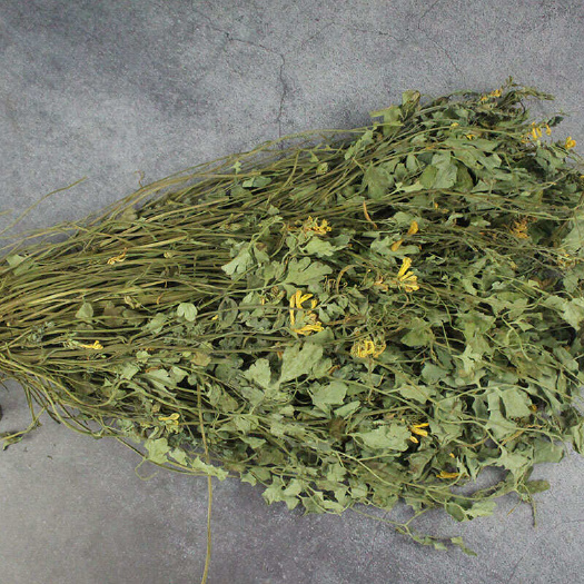 岩黄莲 500克 新货岩黄连 岩胡 岩连 菊花黄连 中药