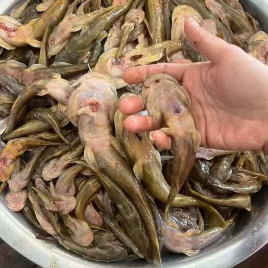 石篇头