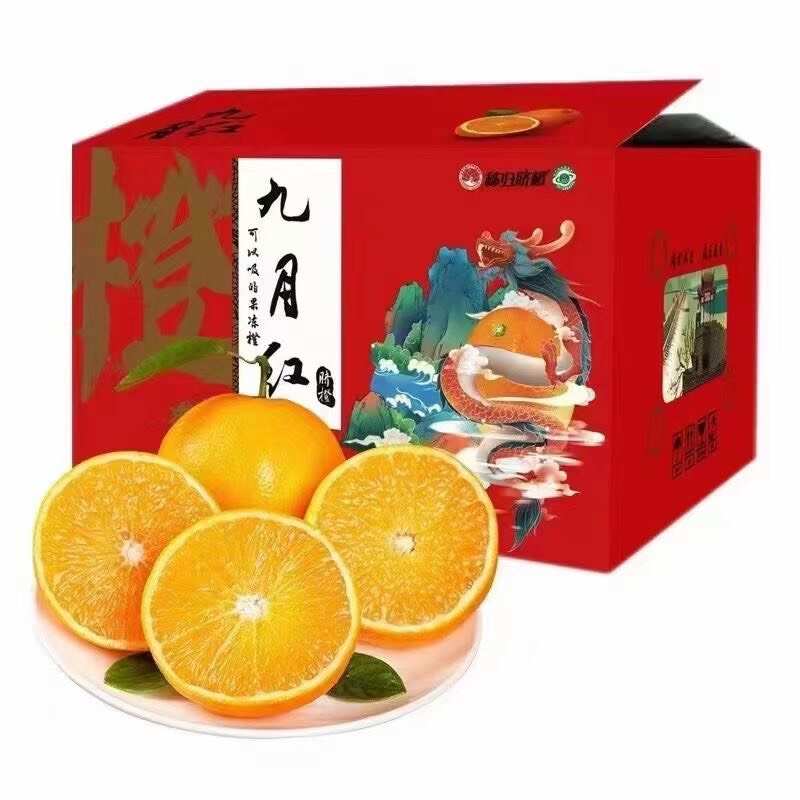 精品九月红橙 湖北秭归特产 65-85mm甜润多汁